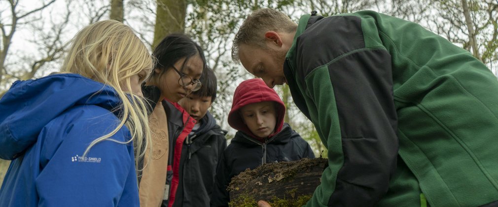 A group of children look closely at a log being held by a uniformed ranger in the forest.