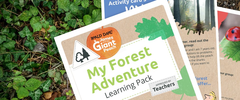 Roald Dahl My Forest Adventure Teachers Pack
