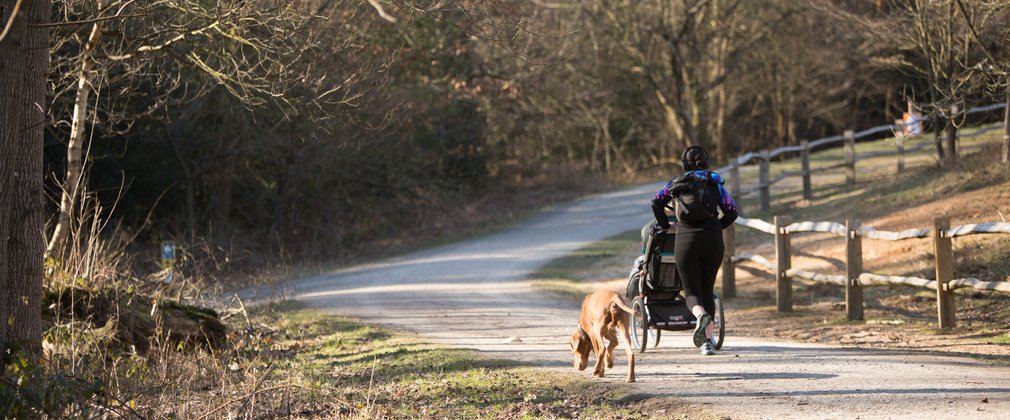 Woman running pushing buggy and with dog