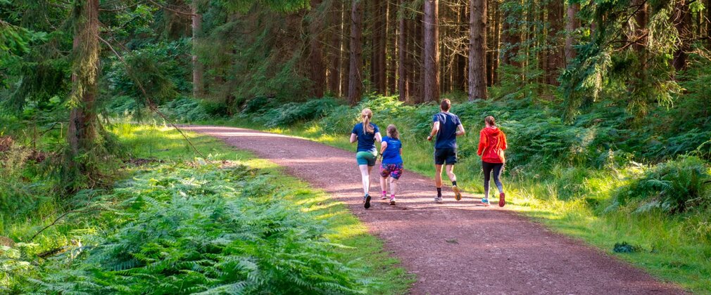 Seen from behind, four runners on a forest trail.