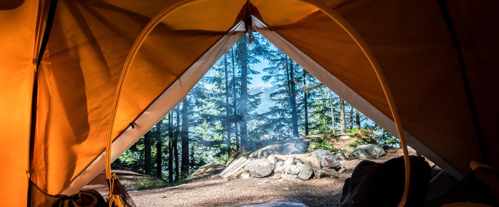 Open tent door with view out into pine forest