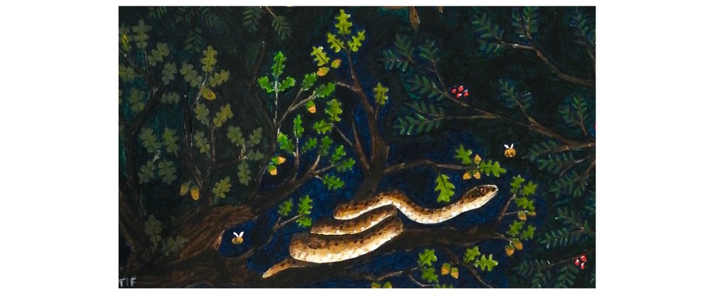 Snake illustration