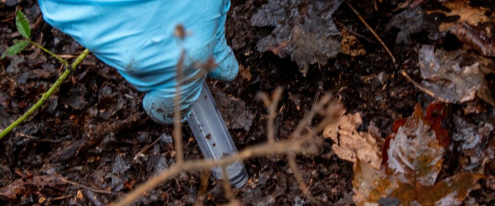 Close-up of a hand in a blue latex glove, holding a plastic syringe to a muddy forest floor.