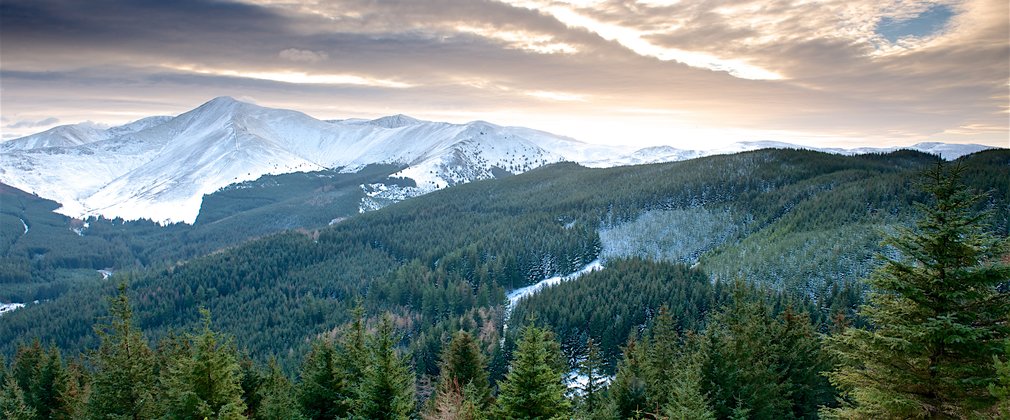 Whinlatter Winter