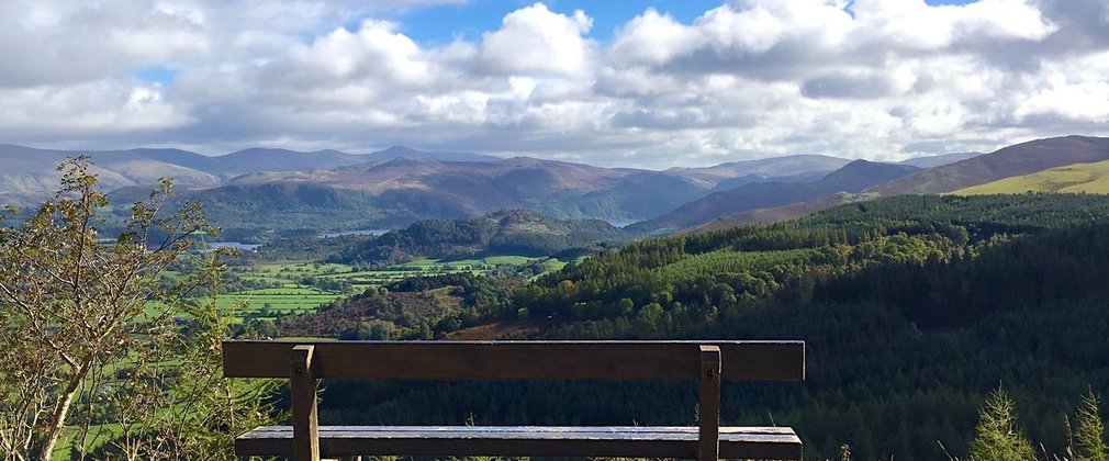 Views from Whinlatter