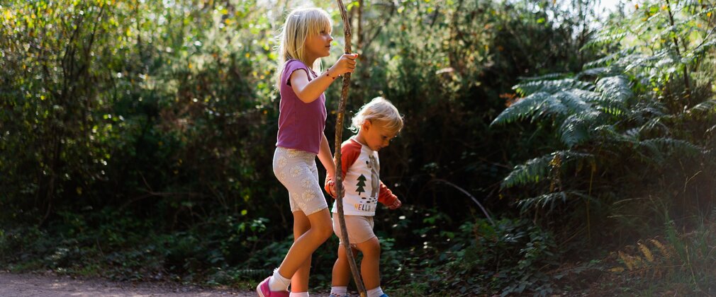 A young girl and boy in shorts and t-shirt, on a forest path in the sun.