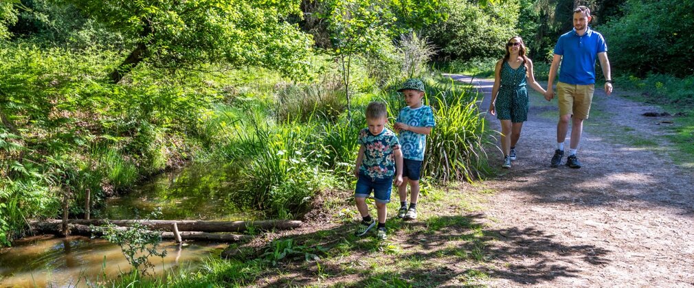 Two adults and two children walking along a forest path in the summer.