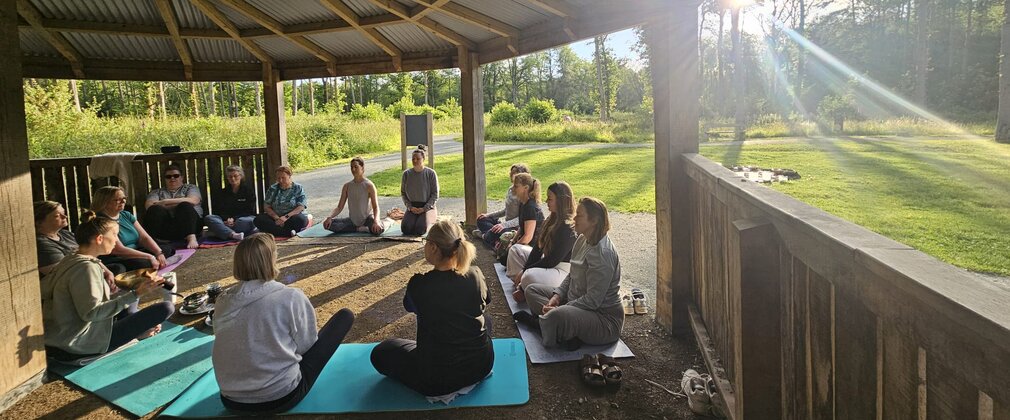 Yoga session in a forest shelter