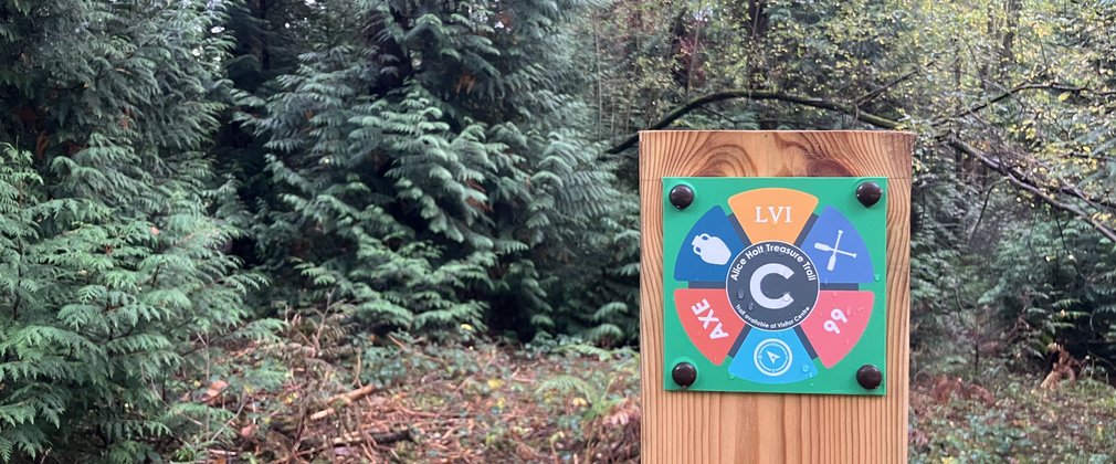Treasure trail panel in the forest