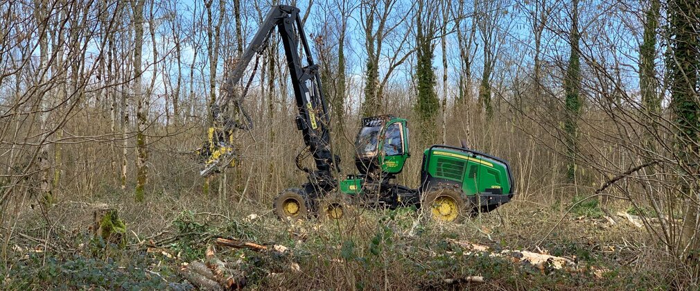 A tree harvester vehicle among winter trees in a forest.