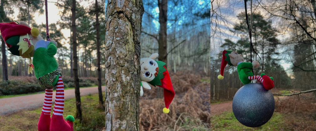 Trio of elves on the elf trail at High Lodge