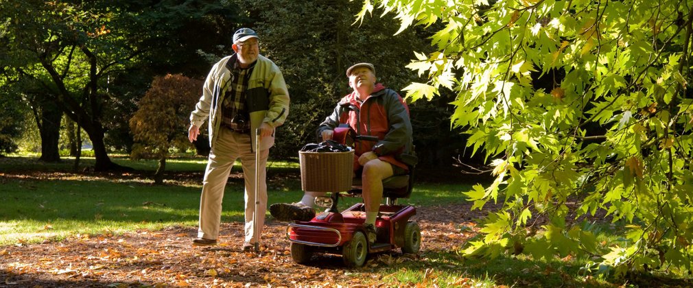 adults on an easy access trail