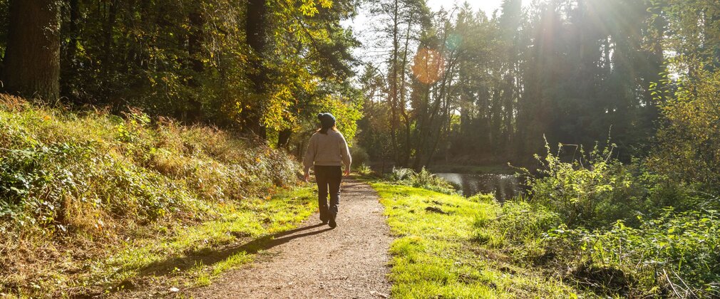 A woman walking along a lakeside path in a forest