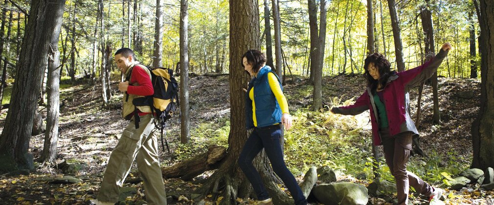 people in forest