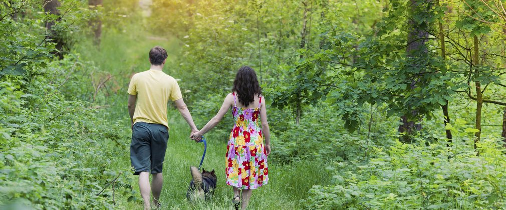 Couple with dog walking away through a forest clearing