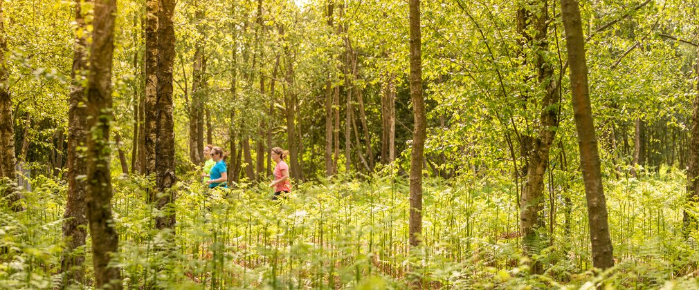 Two people running in the forest