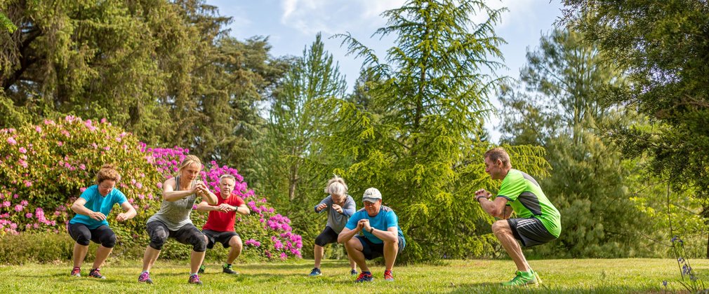 Group of people exercising in the forest