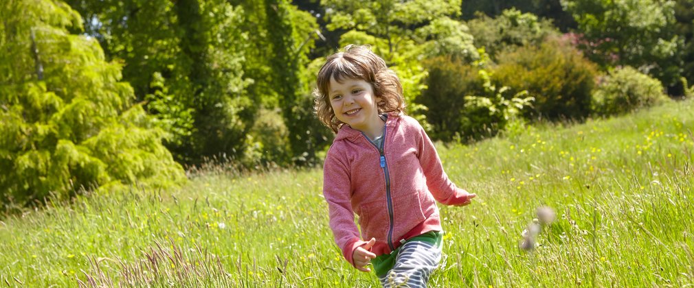 Summer adventure playing in a woodland glade