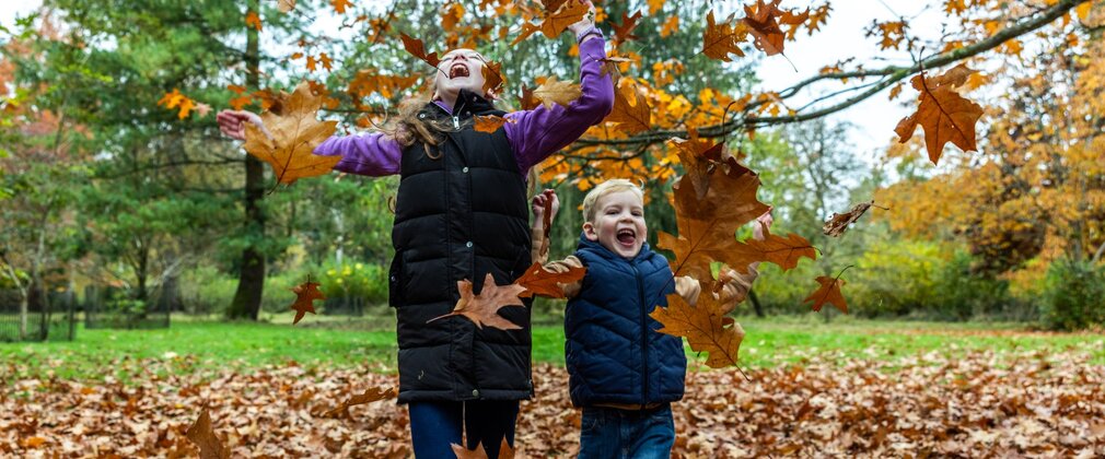 A young girl and boy happily throwing piles of autumn leaves in the air.