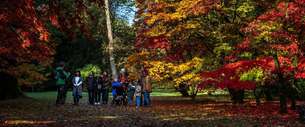 A group of adults and children listen to a guided walk surrounded by autumn colour.