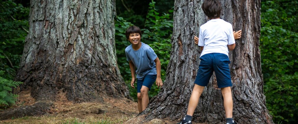 Two young boys play catch around a textured tree trunk.