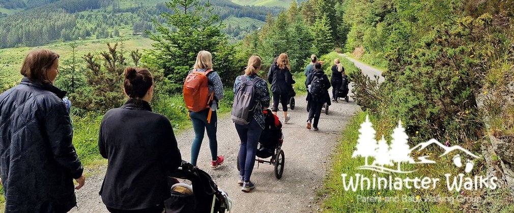 A group of people walking down a forest road pushing prams