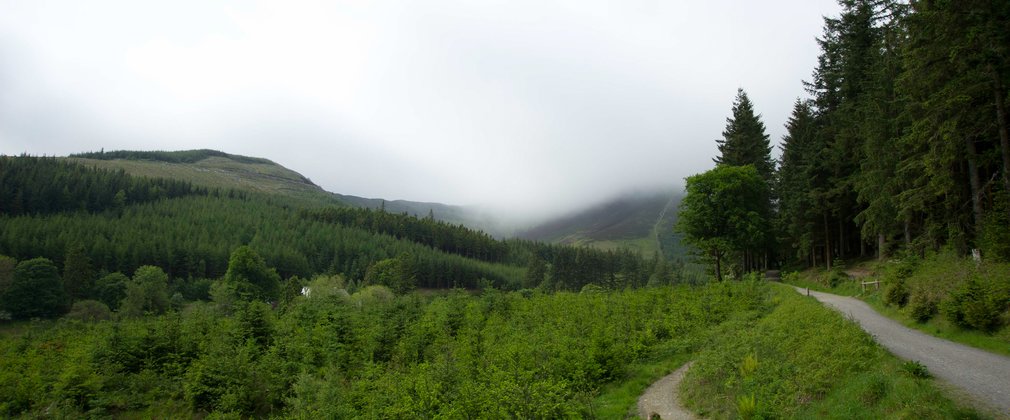 Trail and landscape at Whinlatter