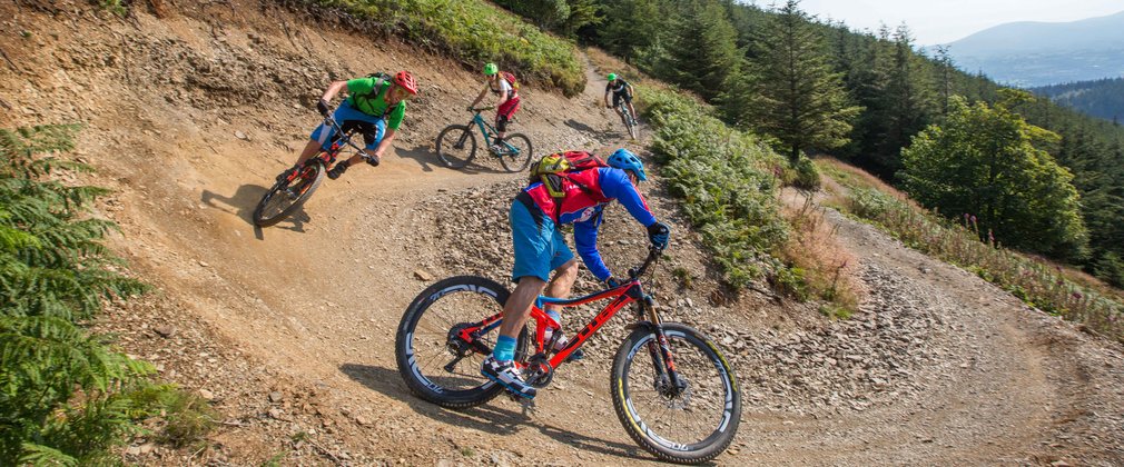 Mountainbikers at Whinlatter