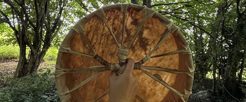 A hand holds a hand held drum up in front of some trees