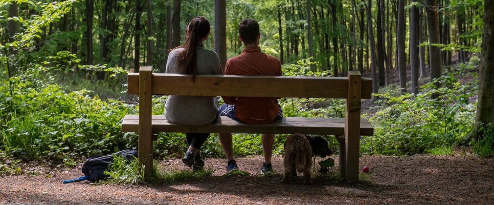 Two people sitting on a bench in the forest, seen from behind.