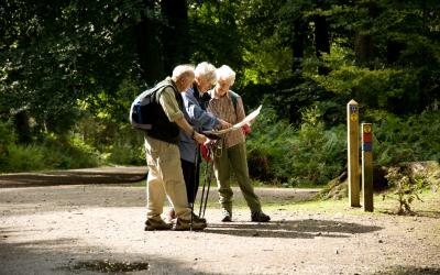 walkers about to start a woodland walk