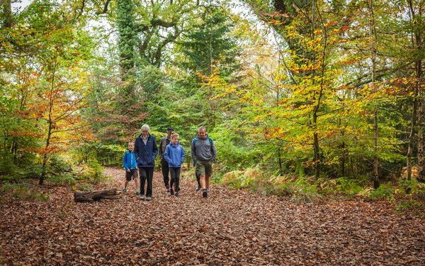 Family walking Forest of Dean generic