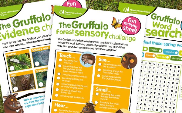 Zog Activity Sheets | Forestry England