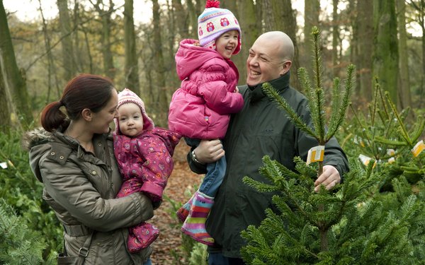 Family choosing a christmas tree