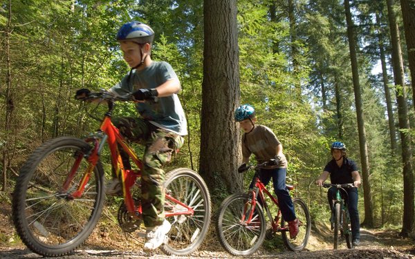 family cycling through the forest