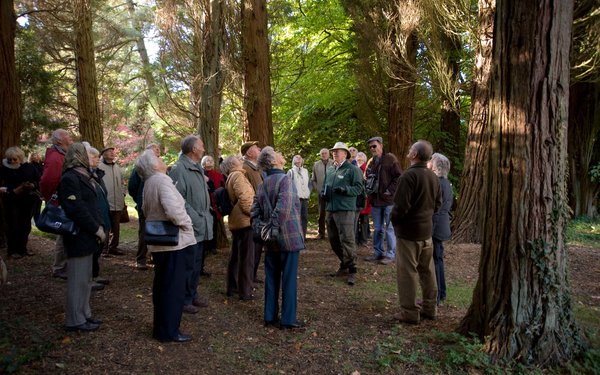 Group in forest looking at trees