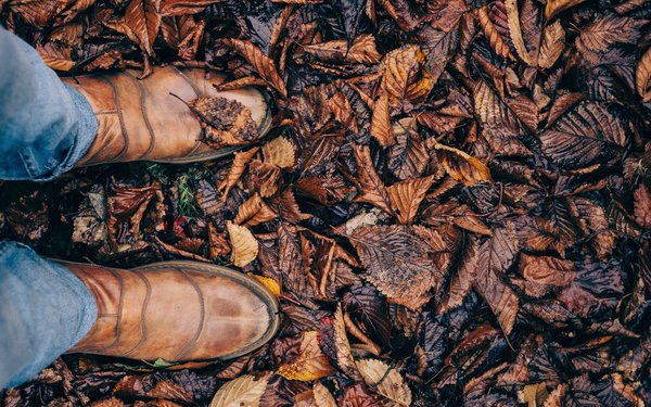 Feet in autumn leaves