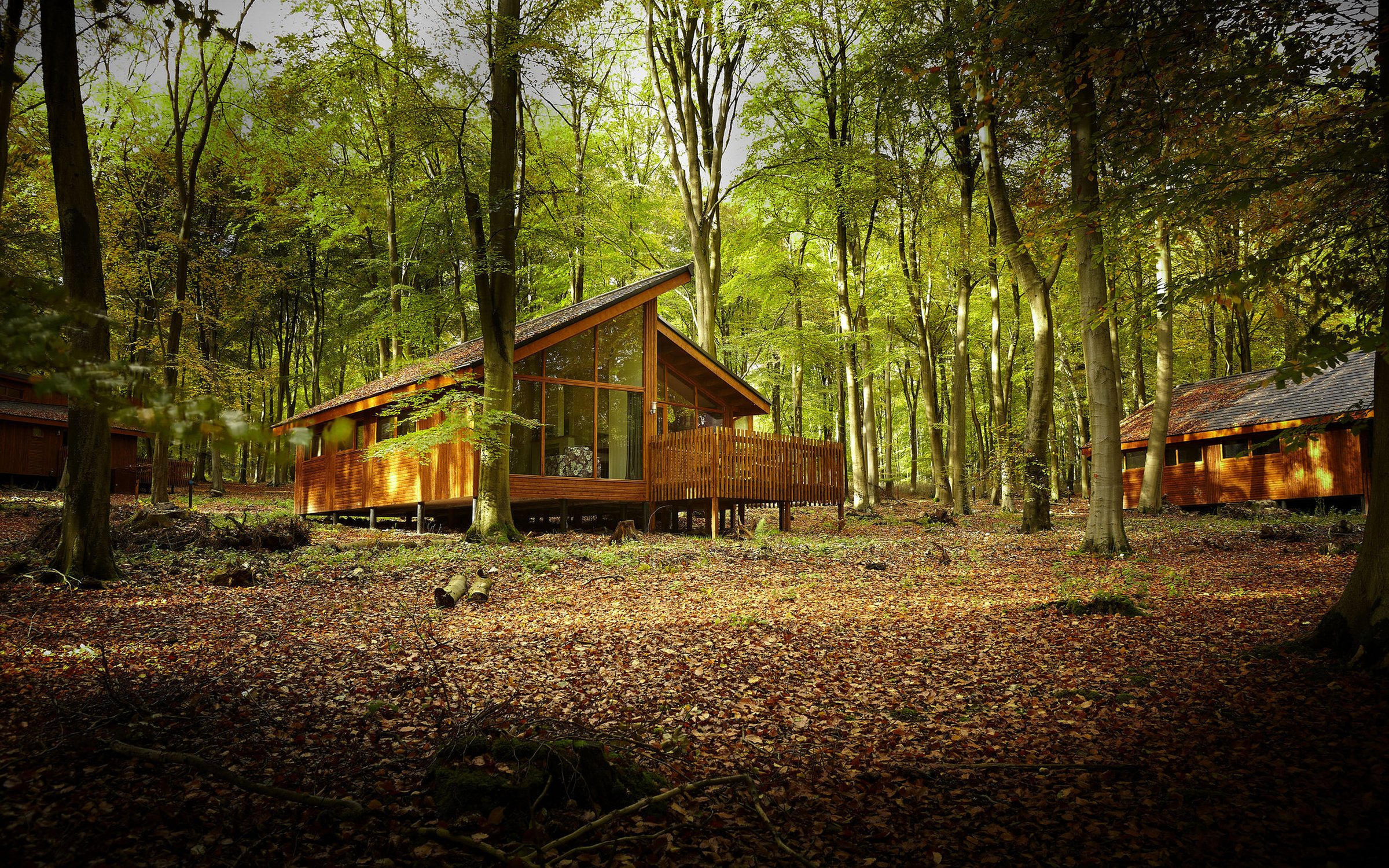 Stay In Our Forests Forestry England