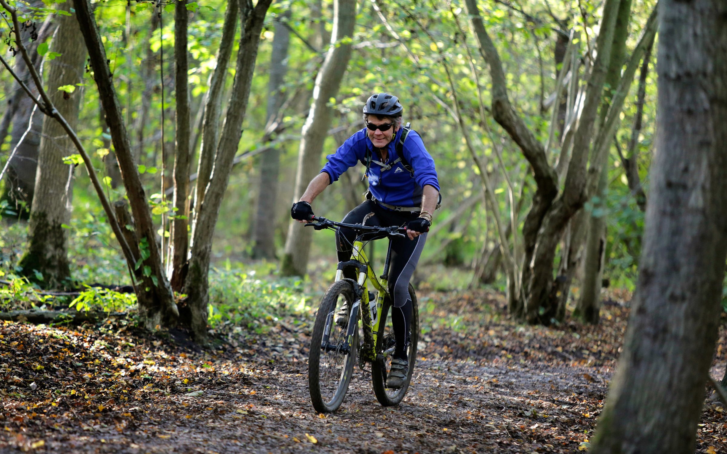 Yer Tiz trail at Leigh Woods Forestry England