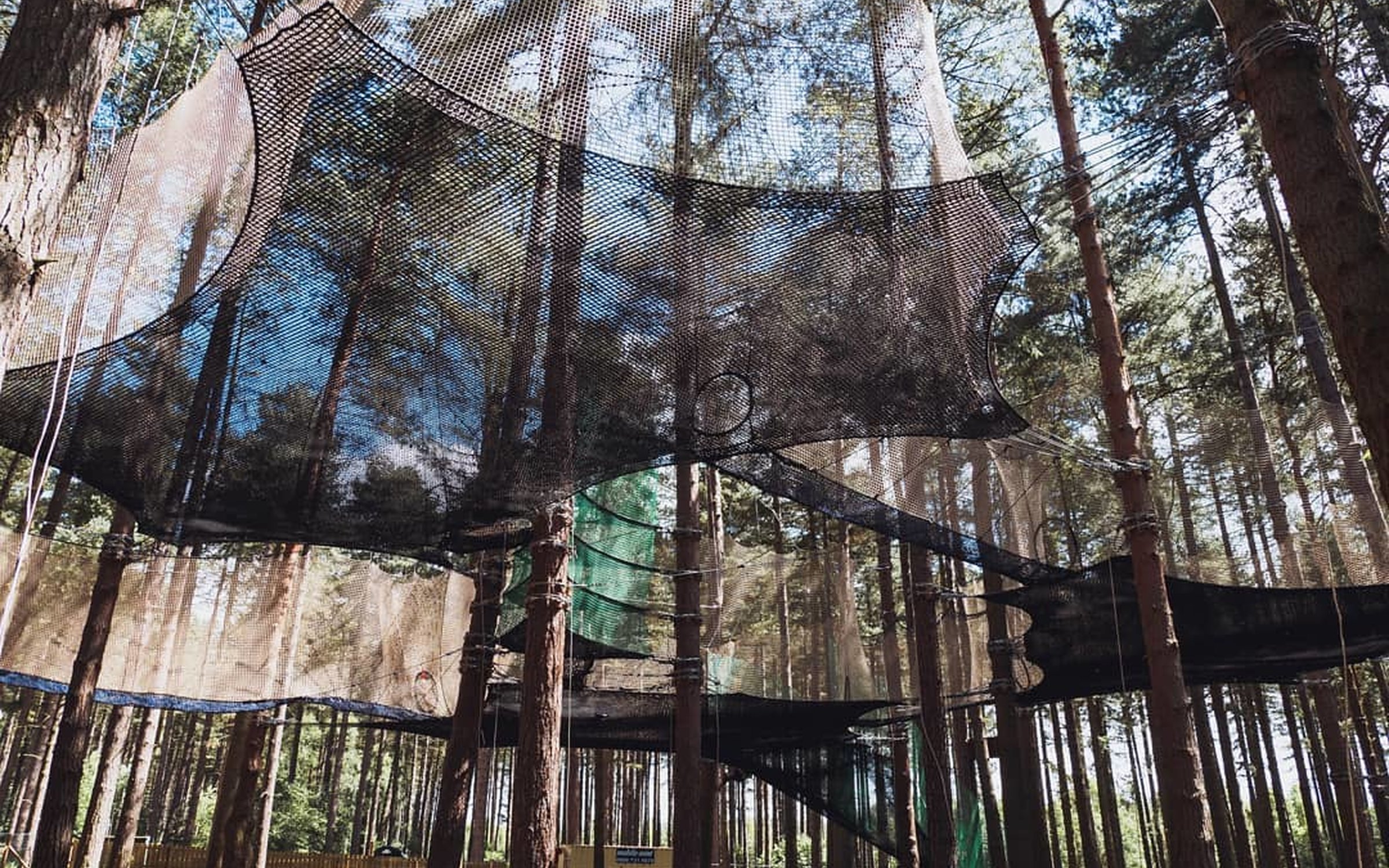 Go Ape Nets Adventure Forestry England