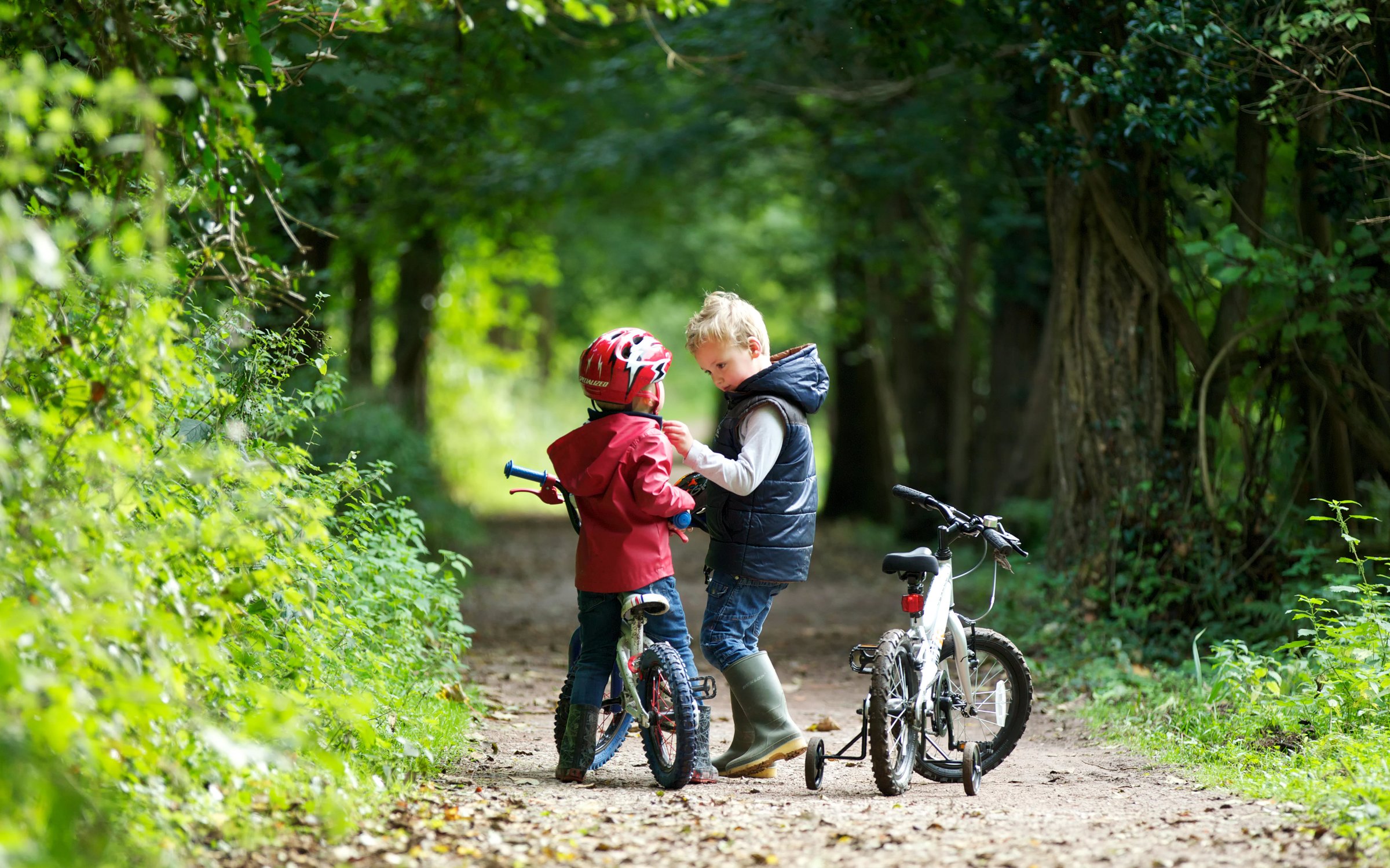 Cycle paths hotsell new forest