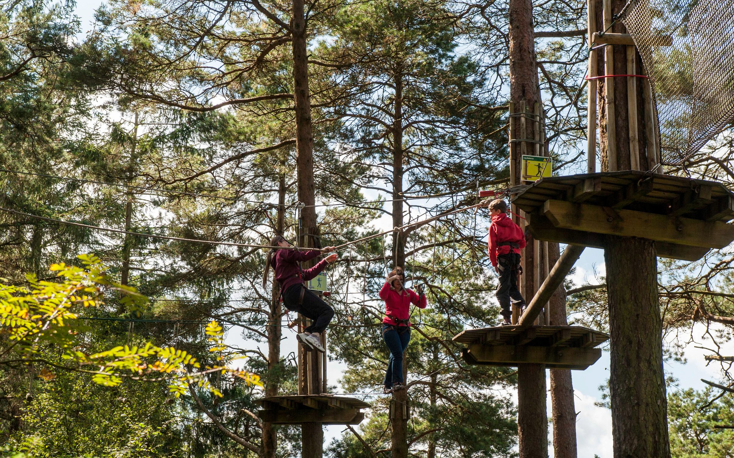Go Ape Tree Top Challenge At Wyre Forestry England Go Ape Tree Top Challenge At Wyre Forestry England