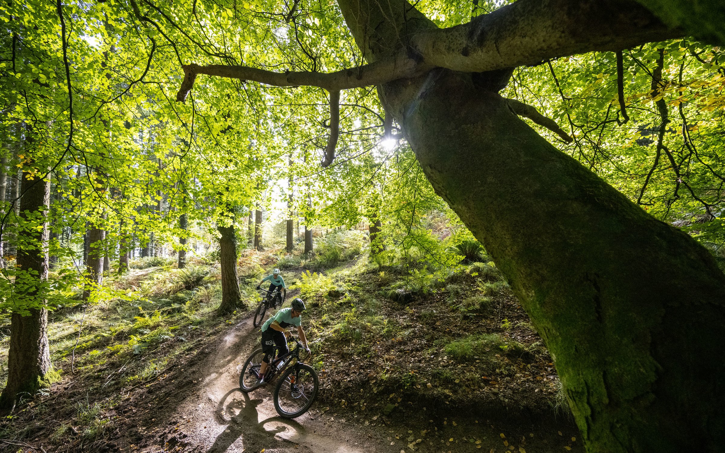 Mountain best sale bike trail