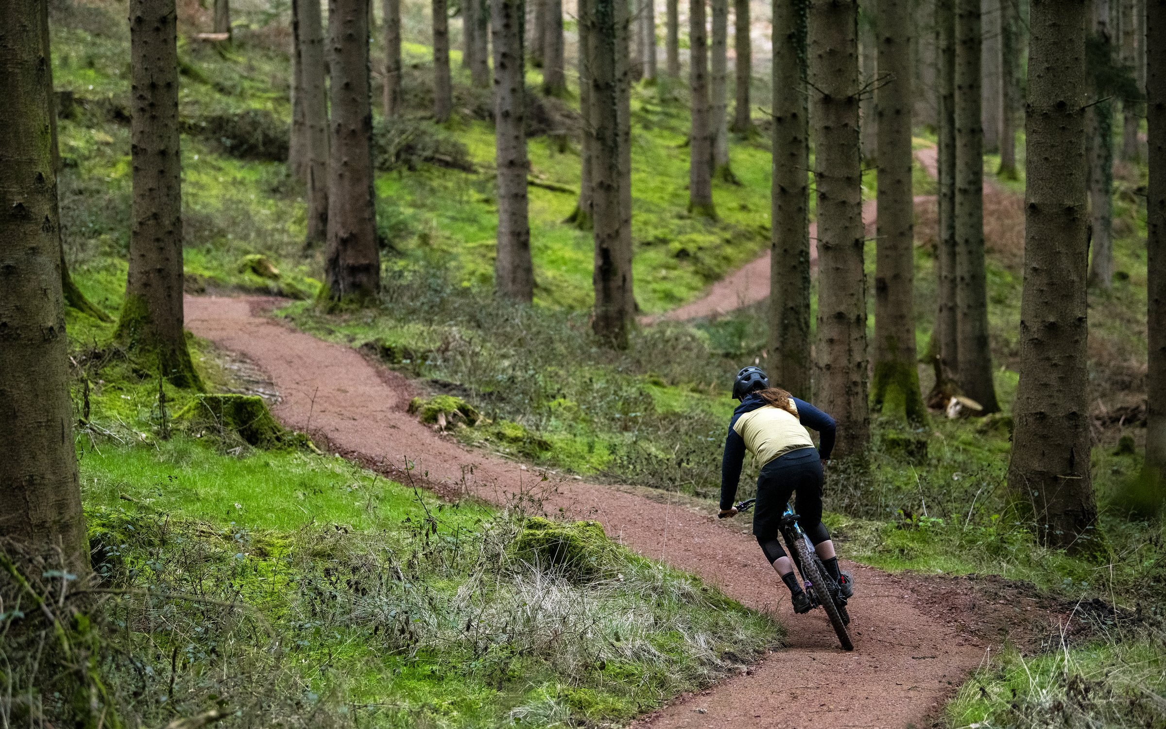 Forest of dean mtb trails 2025