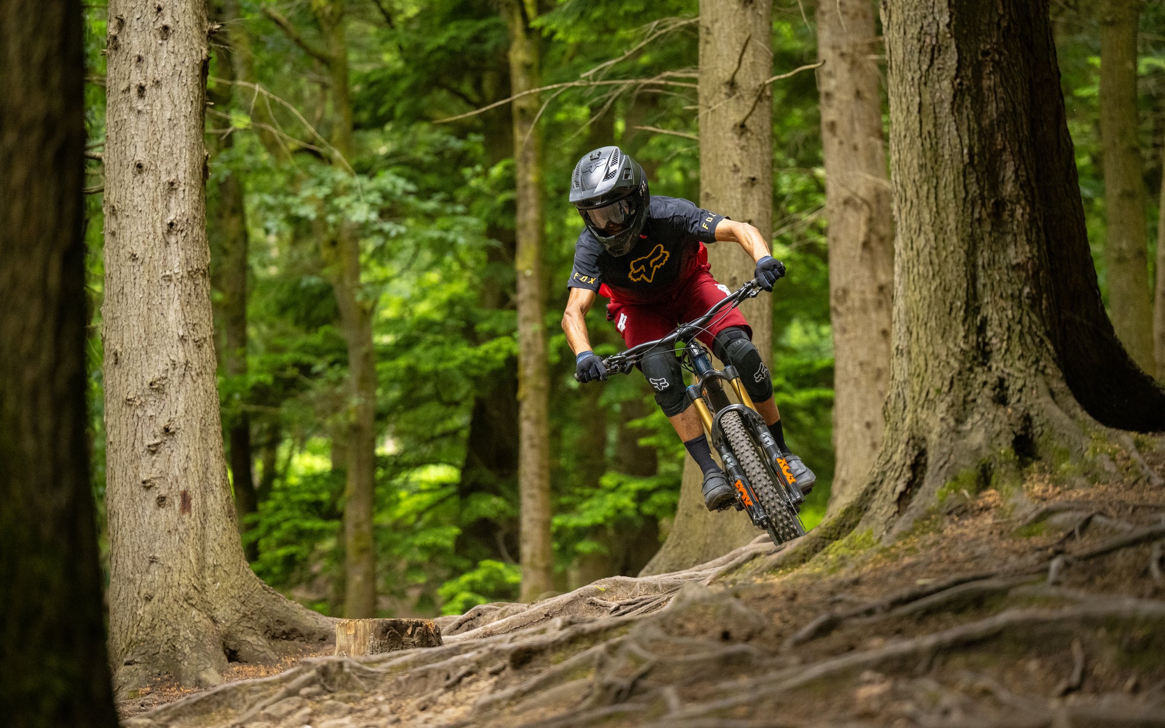 Dh trail cheap