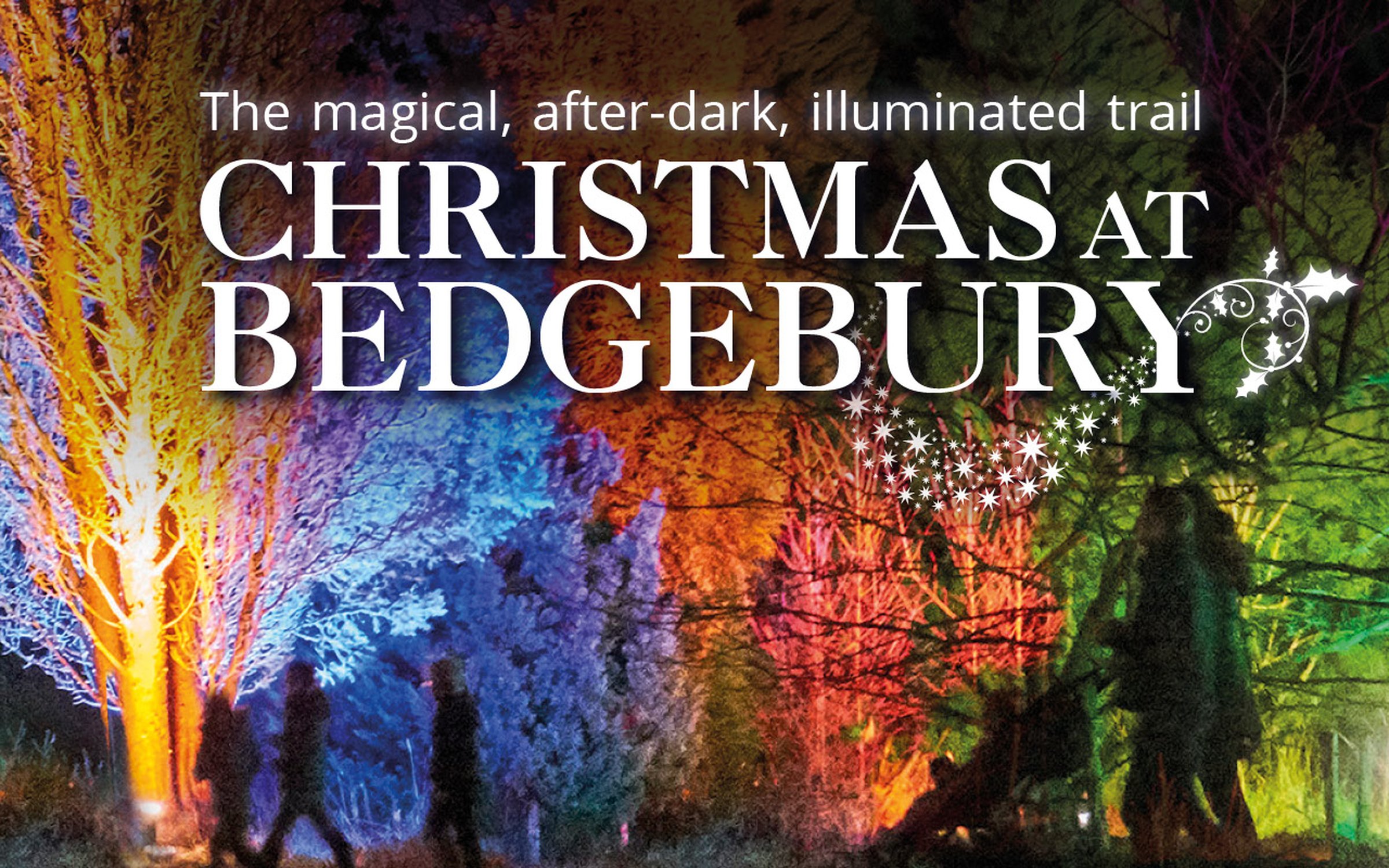 Discover The Magic Of Christmas At Bedgebury Forestry England