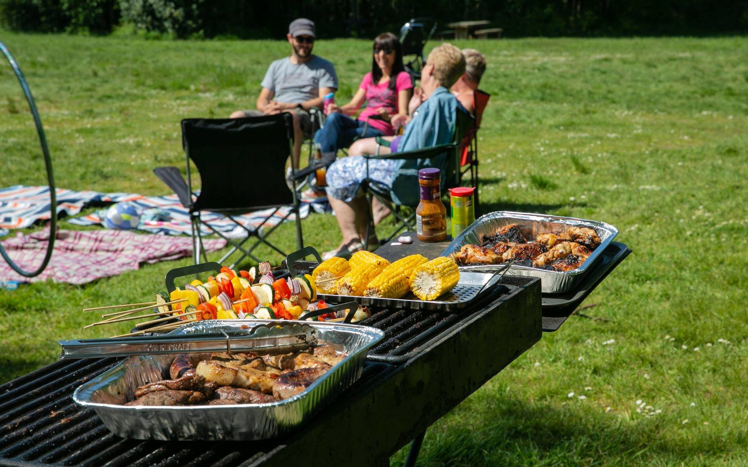 parks with barbecue pits near me