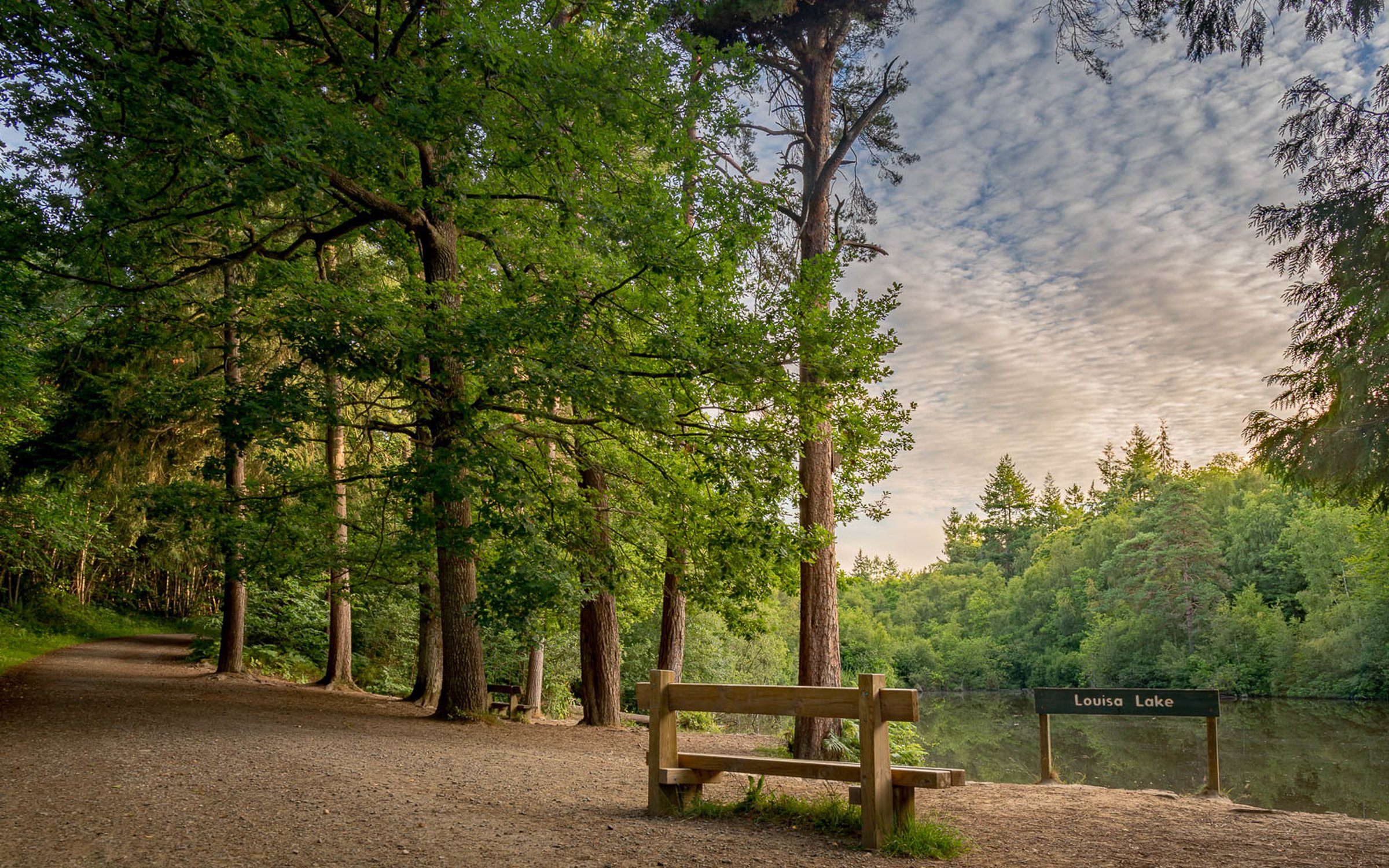 Bedgebury National Pinetum And Forest Forestry England