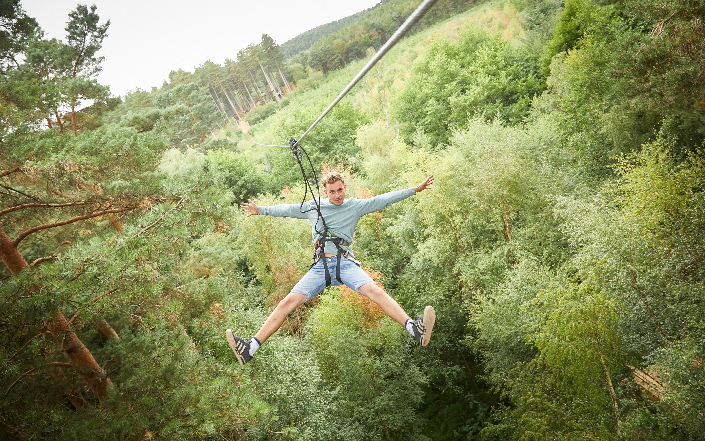 Go Ape Tree Top Challenge At Cannock Chase Forestry England