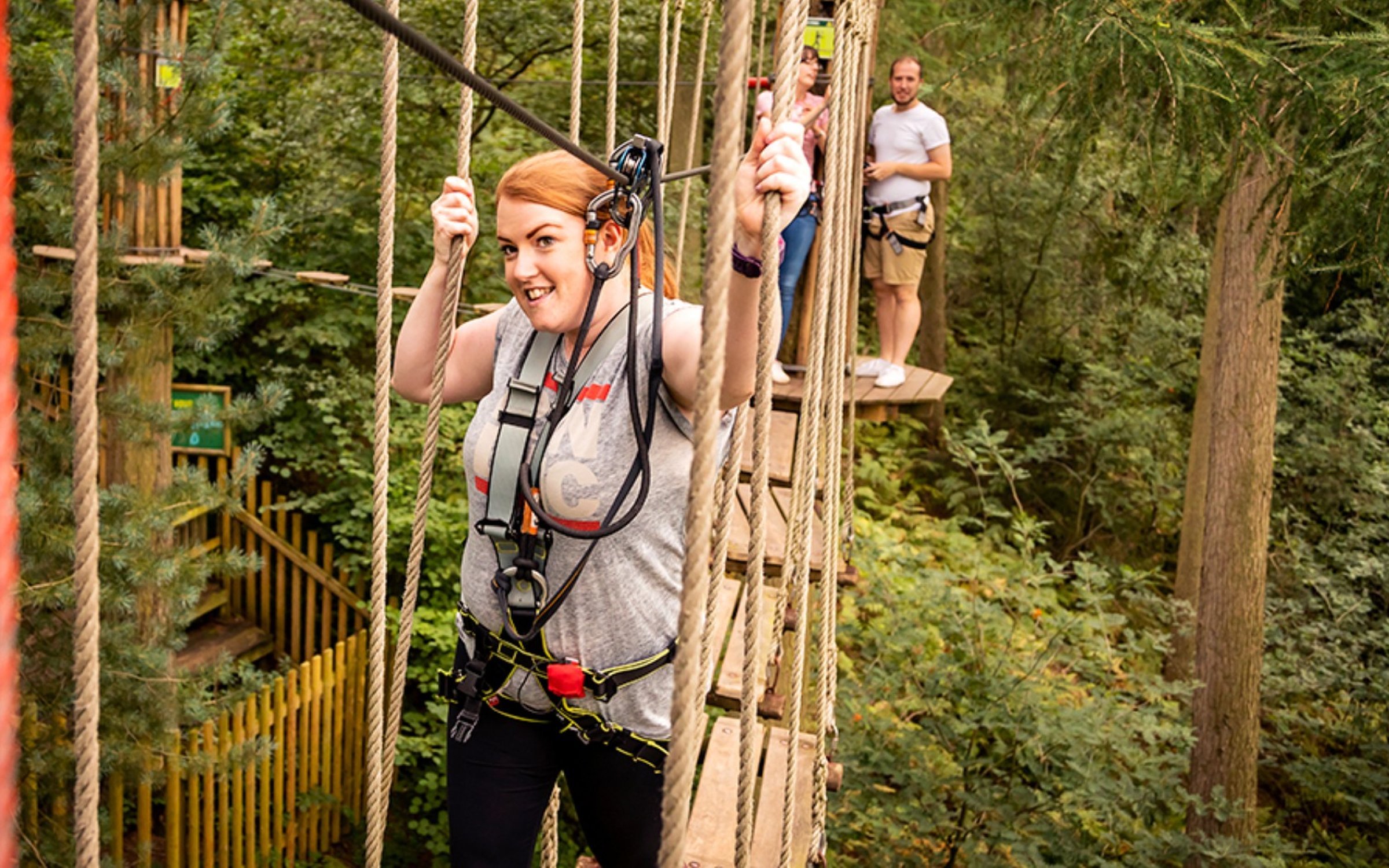 Go Ape Tree Top Challenge At Dalby Forest Forestry England